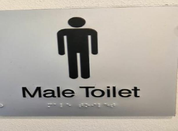Photograph of toilet signage with Braille embossing